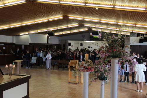 IMG 7381 (1)