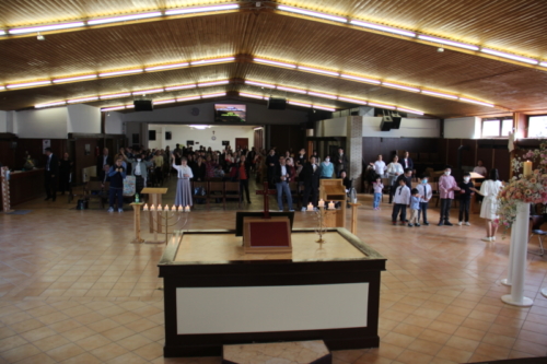 IMG 7384 (1)